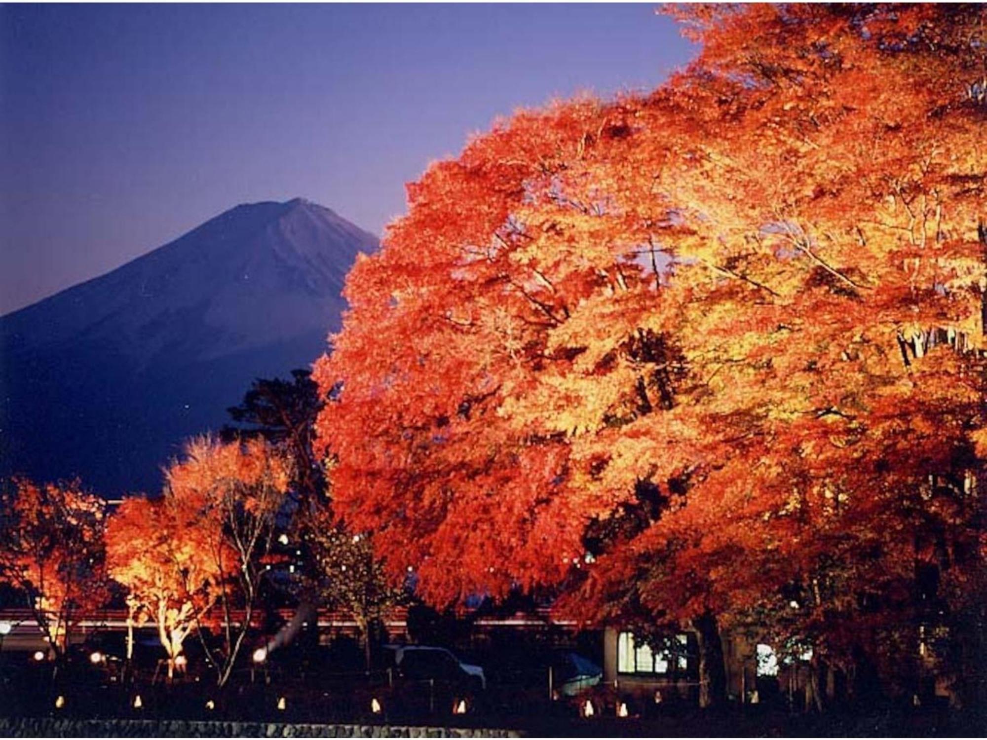 Fujisan Resort Hotel - Vacation Stay 57971V Fujikawaguchiko Εξωτερικό φωτογραφία